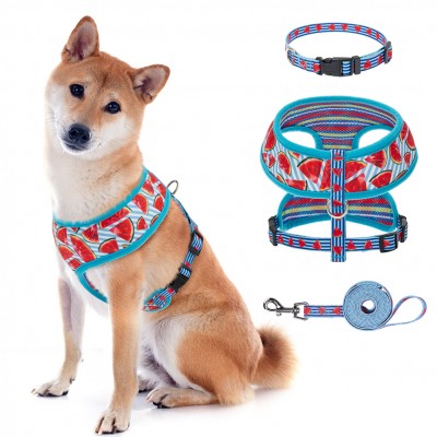 Soft Mesh Polyester Adjustable Dog Harness with Custom Design Reversible Dog Harness