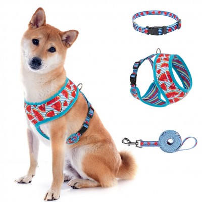 Wholesale  Pet Harness and Leash Set Amazon Pet Supplies Outdoor Reversible Dog Harness Leash Collar Set